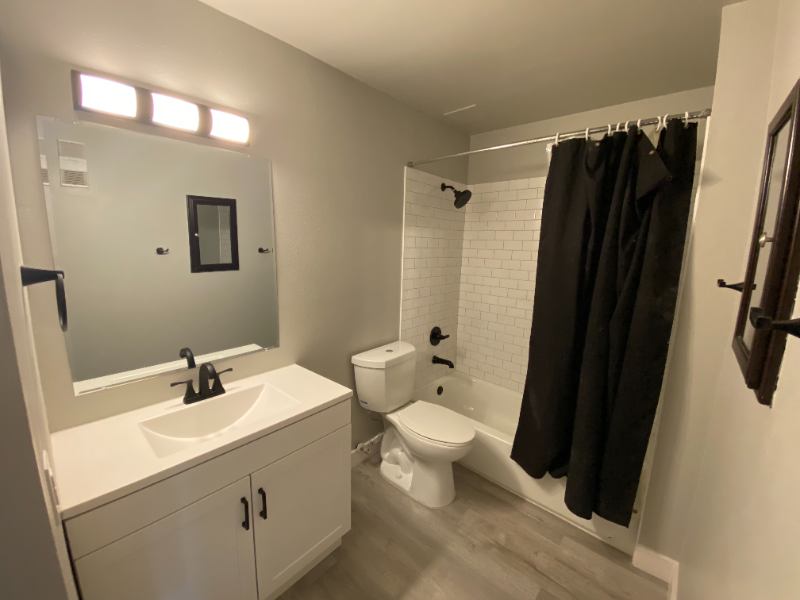 'Newly updated One bedroom Apartment in Denver' Room to Rent from SpareRoom