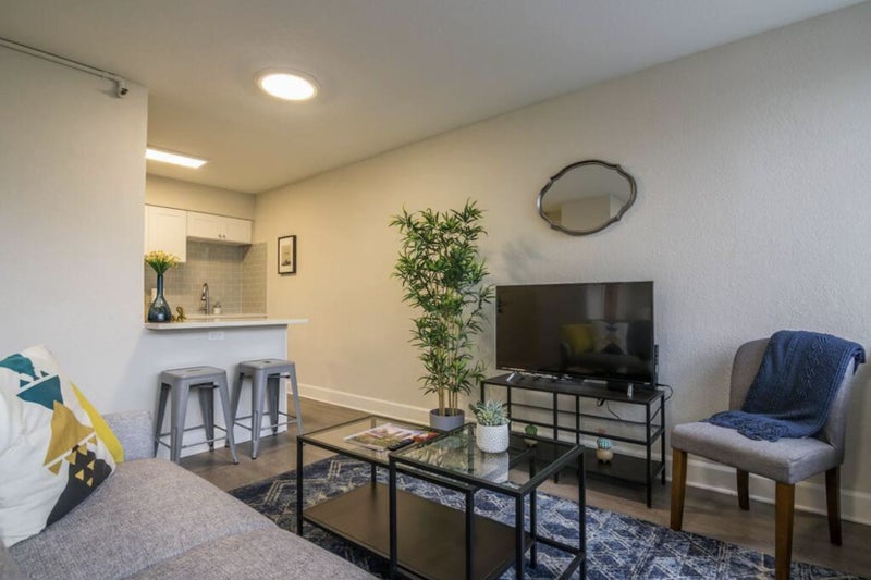 'Furnished Apartment For Rent In St. Petersburg' Room to Rent from