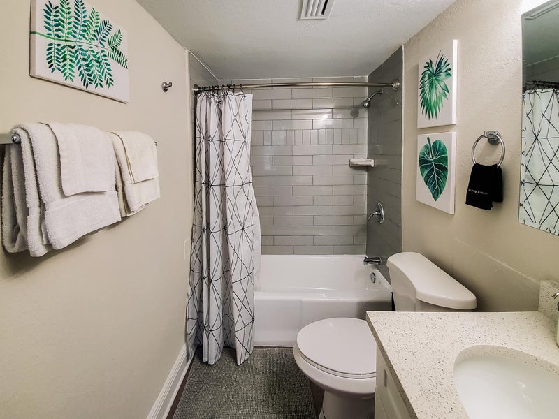 'Furnished Apartment For Rent In St. Petersburg' Room to Rent from