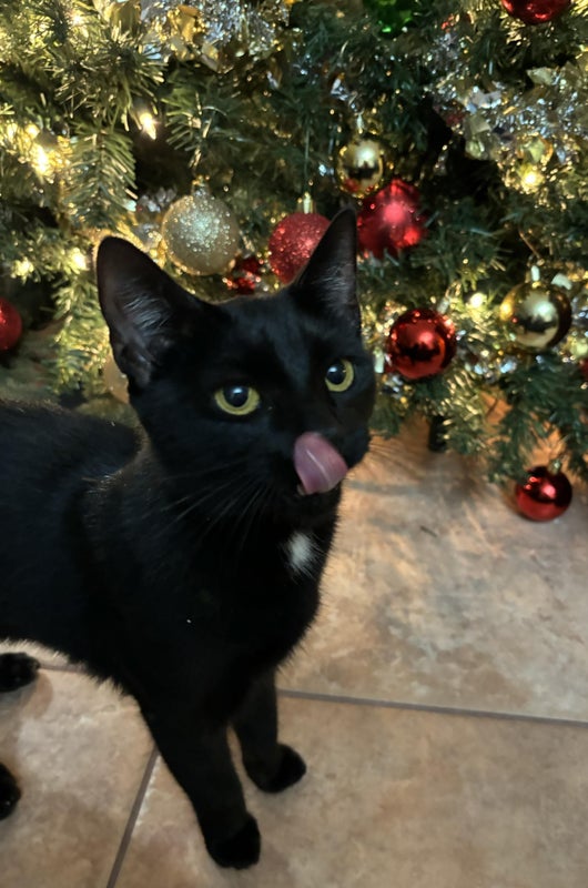 'Room wanted in Miami' Roommate from SpareRoom