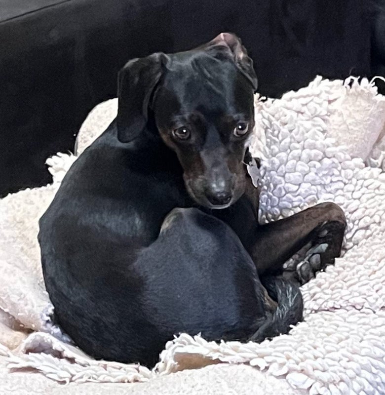 'Thousand Oaks room for rent' Room to Rent from SpareRoom