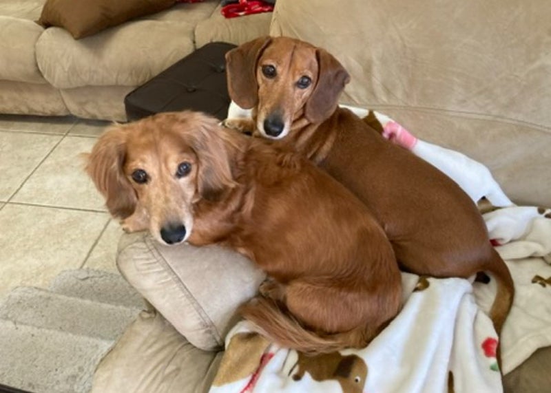 'Thousand Oaks room for rent' Room to Rent from SpareRoom