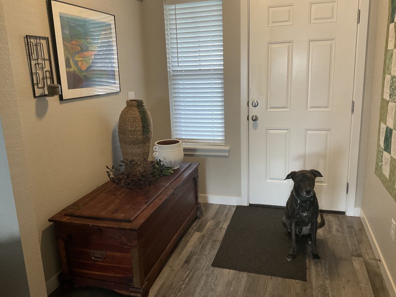 'Room for rent with house privileges' Room to Rent from SpareRoom