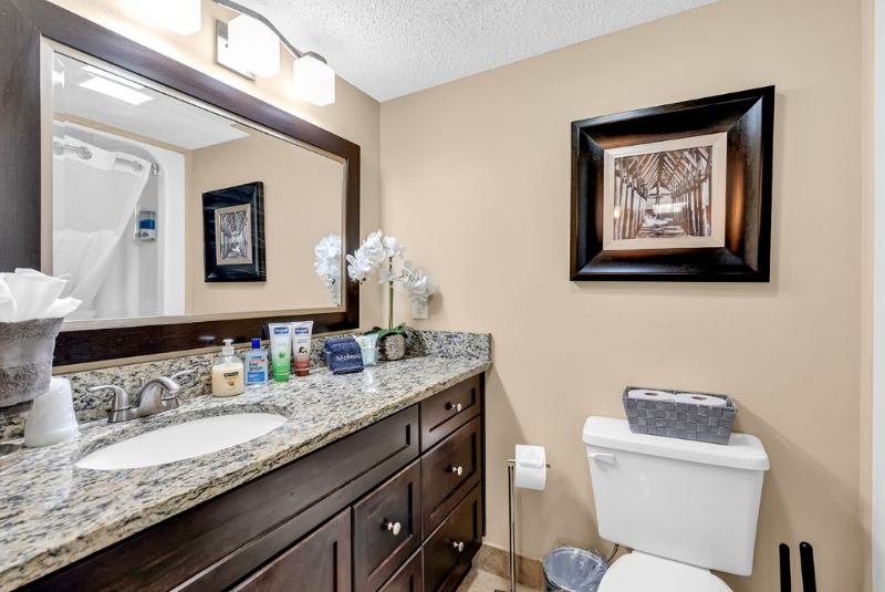 'Small Dog Friendly _Bedroom Condo for Snowbirds or' Room to Rent from