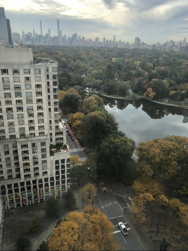 'December and January Sublet next Central Park' Room to Rent from SpareRoom