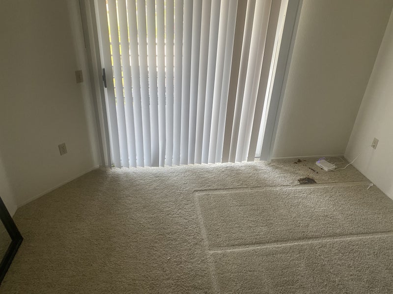 'Room for Rent' Room to Rent from SpareRoom