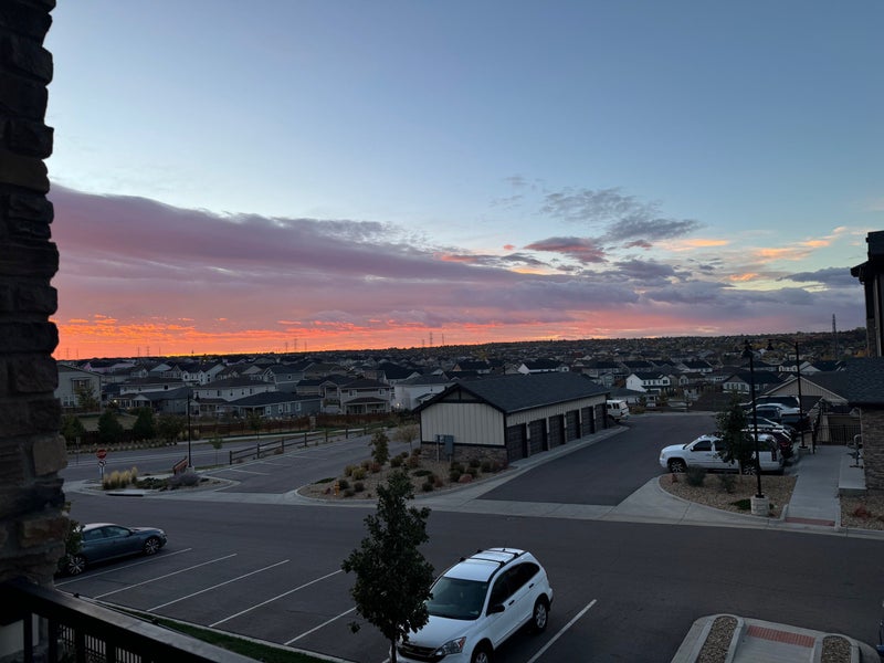 'Lease transfer (1737/ 2 bedroom, 1 bath Aurora)' Room to Rent from