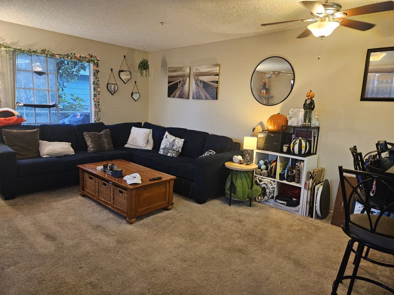 'Private Room & Bathroom 2min Walk from Beach!!!' Room to Rent from