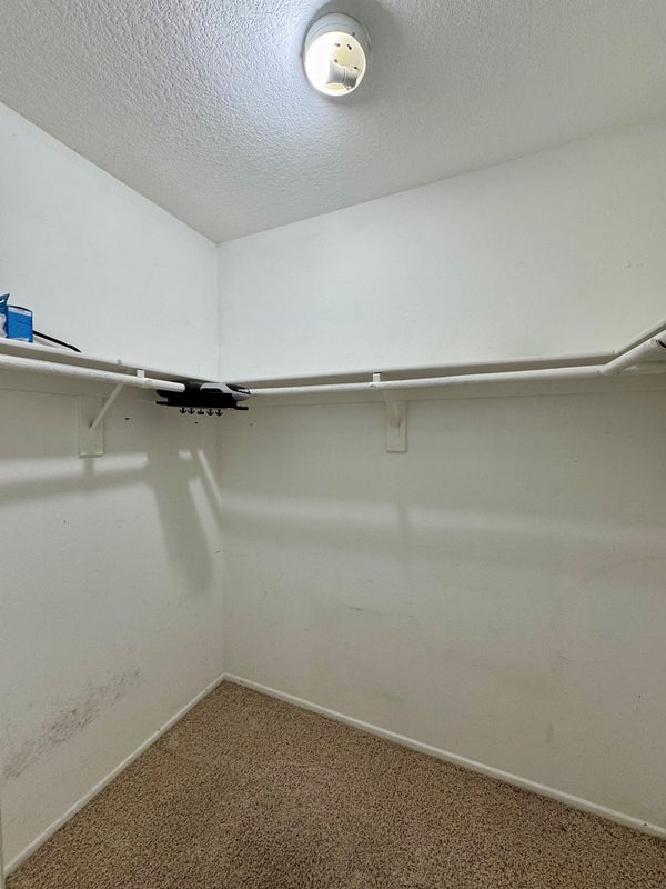 'Looking for new roommate ' Room to Rent from SpareRoom