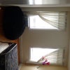 Photo 2: room