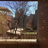 Photo 1: Patio