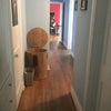 Photo 8: Hallway
