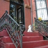 Photo 4: front stairs to home