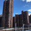 Photo 5: Roof Top