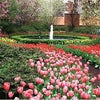 Photo 2: One of 2 large gardens with fountains