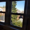 Photo 3: Living room windows.