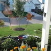Photo 2: Looking out front window
