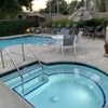 Photo 8: Pool