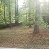 Photo 9: backyard