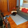 Photo 2: Livroom