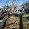 Photo 6: Backyard