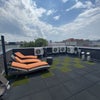 Photo 6: roof