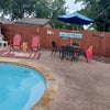 Photo 9: Pool with private backyard