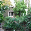 Photo 5: Back Yard