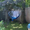 Photo 2: Yard