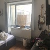 Photo 6: Larger bedroom