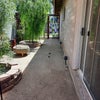 Photo 5: Side yard 