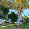 Photo 2: Front yard 