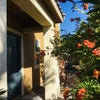Photo 3: Separate entrance to the casita.