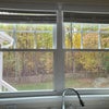 Photo 9: view out to yard 