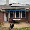 Photo 8: Back yard