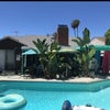 Photo 2: Backyard pool area 