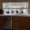Photo 7: Kitchen