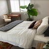 Photo 2: Bedroom
