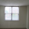 Photo 5: North-facing window