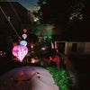 Photo 5: Your yard at night