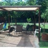 Photo 8: backyard