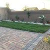 Photo 7: Large Backyard 