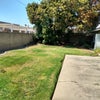 Photo 9: Back Yard