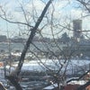 Photo 6: from your br window 