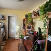 Photo 6: Kitty room