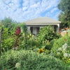 Photo 8: Garden