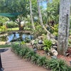Photo 3: Koi pond