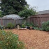 Photo 5: Back Yard