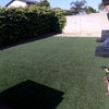 Photo 9: Backyard turf