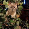 Photo 6: Drama in his tree :)